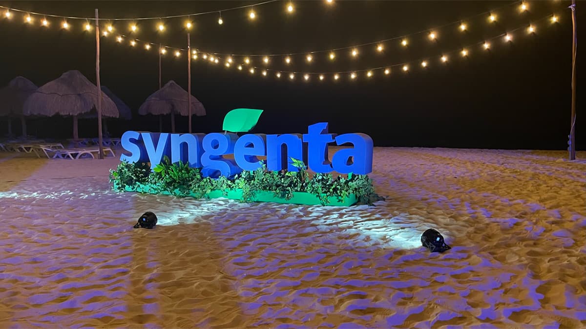 A large illuminated "syngenta" sign on a beach at night